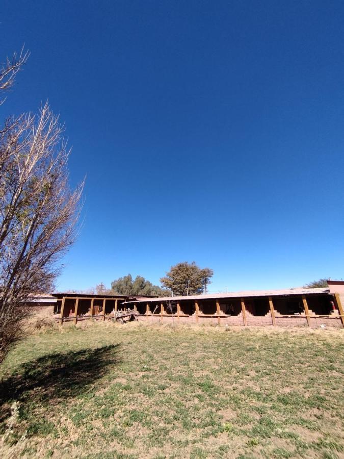 Puna Hostel San Pedro de Atacama Dış mekan fotoğraf